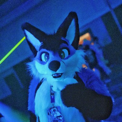 Blue Dumbfox 🦊 | 25 | Living in Germany | Cocktail Guy, Drone Pilot, Shisha Enthusiast, EV Driver 🚗🔋⚡ | My Curl: @Legiarrd ♥️ | ⚠️ Likes can be 🔞