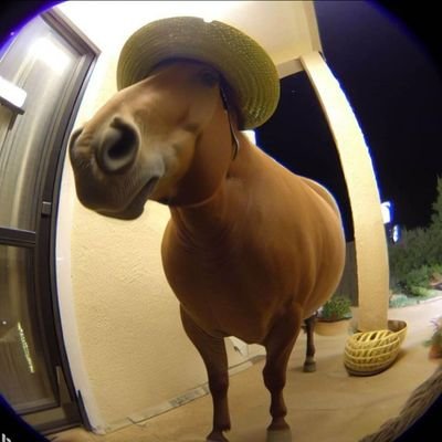 5bots_god's profile picture. #MobilityFAM
#TeamCODMobile

Do visit here!: https://t.co/v32yuGuxYr