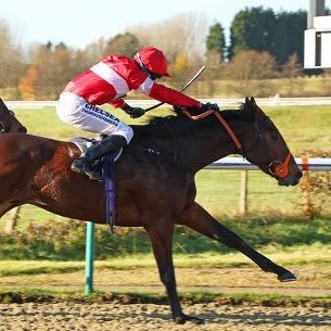 HorseBetsNAP's profile picture. stealing the bookies money😮‍💨 free telegram link below