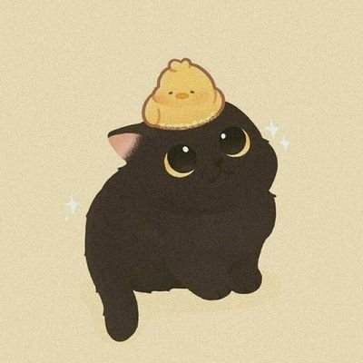 amicasa13's profile picture. 