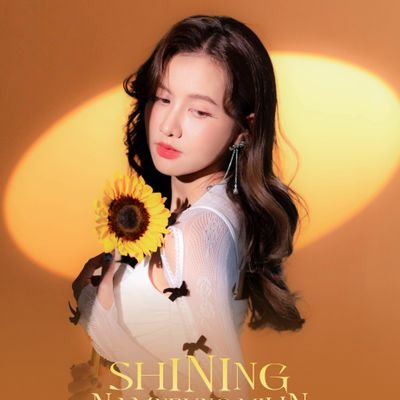 ShiningNamneung Profile Picture