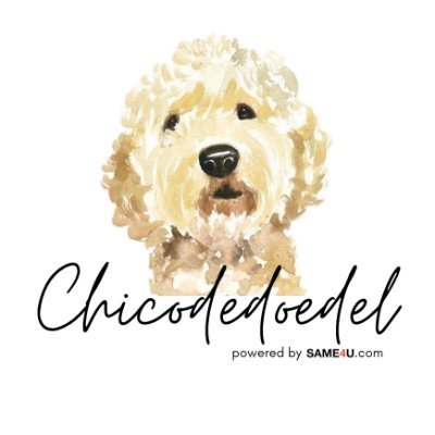 chicodedoedel Profile Picture