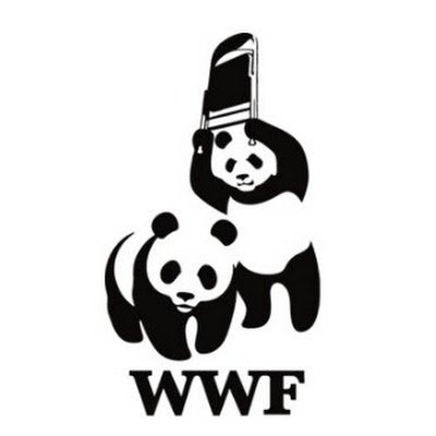 CatHosico24993's profile picture. 