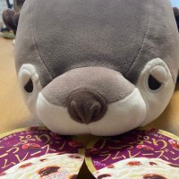ここあん (@cocoaaannn) Twitter profile photo