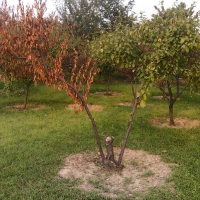 liushui918's profile picture. 交易的本质是概率，尽可能的让自己的开仓点靠近边界，尽可能的将止损点放到阶段性极值外，剩下的，看天意