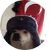 cesur (@danielpancu_) Twitter profile photo cesur (@danielpancu_) Twitter profile photo