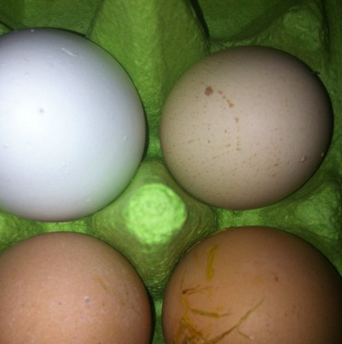 paul_C89's profile picture. By the way...... those are hand towels, big ones are on the top shelf