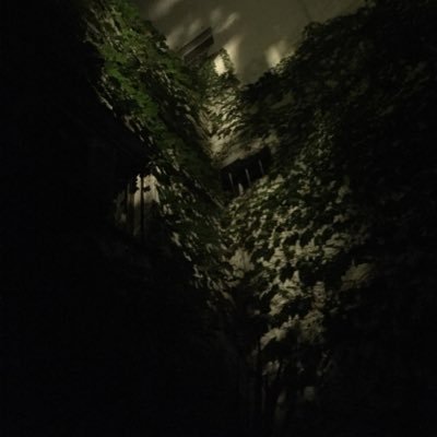 giltttc's profile picture. ⚡️