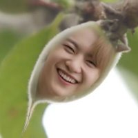 mattchu1day✨jimmyleebeat🎶 (@catefullyoungs) 's Twitter Profile