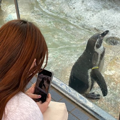 yuki965801's profile picture. 成人済♀20↑重度のアニヲタ腐女子↪︎勝デ伏虎🐉武武受夏五いおりく環壮↪︎基本好き⚠️リバ苦手⚠️↪︎ほのぼの甘い系☞過激系まで↪︎無言フォロー失礼します↪︎かなりのコミュ症