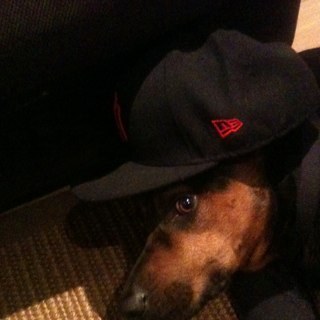 davidvn2's profile picture. 