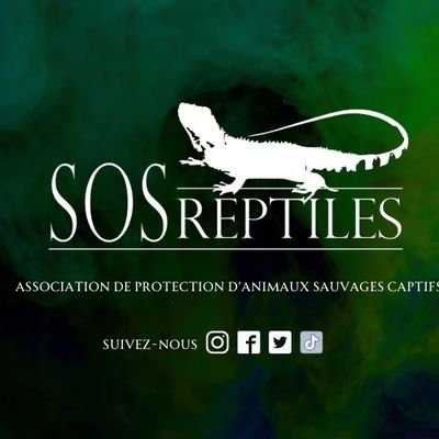 Association à but non lucratif « Sos Reptiles » défend et protège les reptiles abandonnés, maltraités ou saisie par la justice, issus du trafic. 🐍🦎🐢