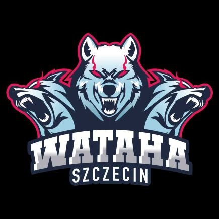 WatahaKibice Profile Picture