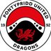 Pontypridd United Men (@PontyUnitedM) Twitter profile photo