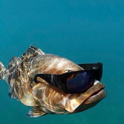 Jorge_Fish_'s profile picture. 