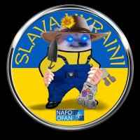 FeckinFellaBells KPSS 🌻 (@tincansquat) 's Twitter Profile