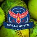 Carolina Patriot Collegiate League 🥎 (@CPatriotCL) Twitter profile photo