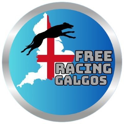 Canal de tips free para corridas de galgos, especialistas no mercado a mais de 7 anos.
Canal Free de tips 👇🏼
https://t.co/QLx8WHVU1F…