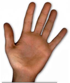 Interested in multitouch software, hardware and design. Look for posts on natural user interface, UX design, and new HCI technology.