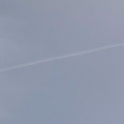 iApulse's profile picture. 