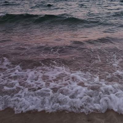 Bzjihane4's profile picture. 