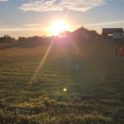 jeelmenow's profile picture. writer+creator