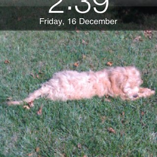 igot2run's profile picture. 