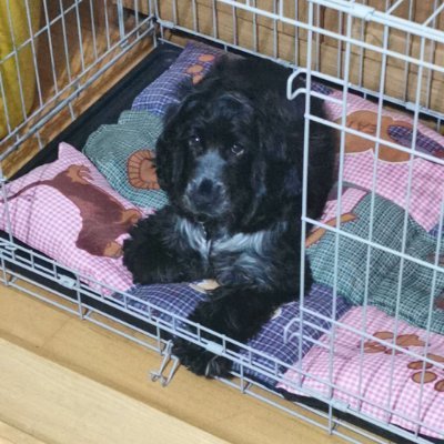 Humpadink's profile picture. #ITFC, Games and eSports.