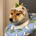 eeeePablo (@mateusz68050724) Twitter profile photo eeeePablo (@mateusz68050724) Twitter profile photo