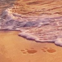 おのひの (@onohino1018) 's Twitter Profile Photo