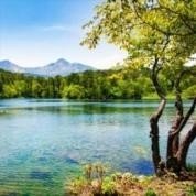 amikaforde76506's profile picture. 起業家  お金に困ってる人の為に現金プレゼントを始めました。  毎日10万円プレゼント中です🤙🏻 欲しい方は必ずフォローしてください✨
 配布場所🍻 https://t.co/x1HWasA88m