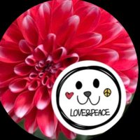 sumi ❤️ Love & Peace❤️ (@sumi_919_u) 's Twitter Profile