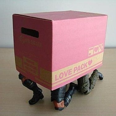 The beautiful son of a beautiful man.
In a box.