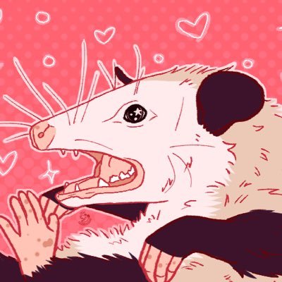 💖Aubie Opossum starting on 🩵🌫️💖さんのプロフィール画像