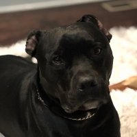 Jerome Hoosier (@jeromehoosier) 's Twitter Profile Photo