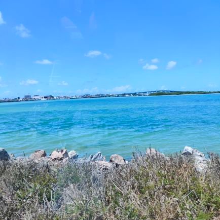 Elnuevo05319581's profile picture. Amante de  los pies femeninos 👣, dispuesto a pagar porque alguna me deje adorarlos, estas dispuesta?, escribeme 😊