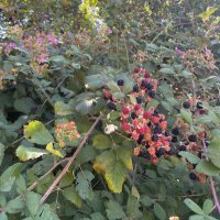 Yılmaz Hüseyin (@hyilmaz47) Twitter profile photo