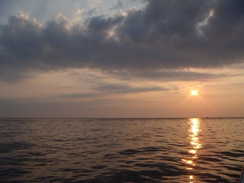 Scorpion_King72's profile picture. 