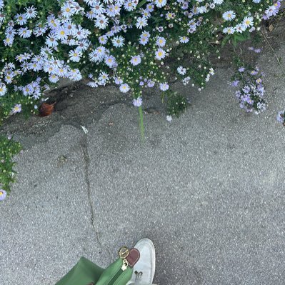 _rrawa's profile picture. | Somewhere between life and purple☂️💟 | @e7twa22 | @keswatfarah