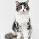 Holt Cody ❤️ Memecoin - @HoltCody132072 - Twitter