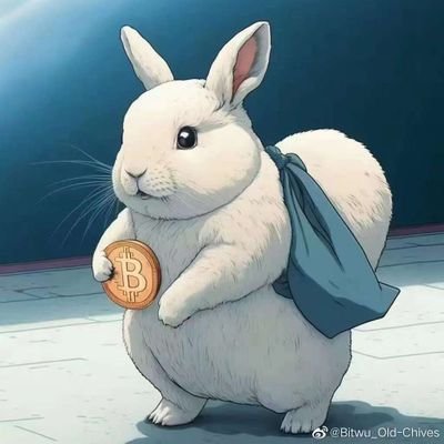 小白兔 Profile