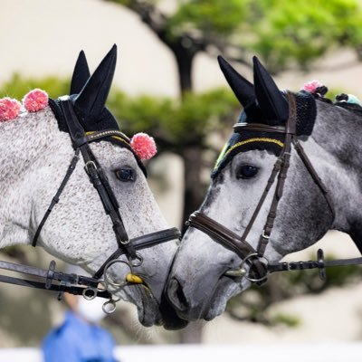 happyrinrinrin's profile picture. 地方競馬が大好きです！特に南関競馬が好きですが、全国見てます。誘導馬推し～３児の母、孫1人、猫3匹と暮らしてます＋夫。