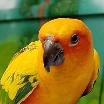 blvaidya's profile picture. Technocrat, AI Enthusiast, and Coach. My views are my own.