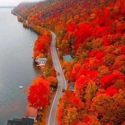 wangbin71's profile picture. 