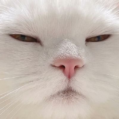 Trrrrr7j's profile picture. 🌝