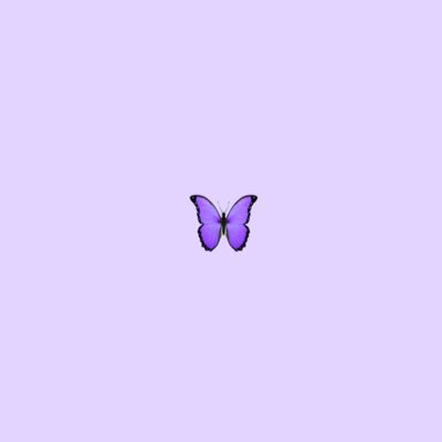 erh_7311's profile picture. CBA-kuniv
