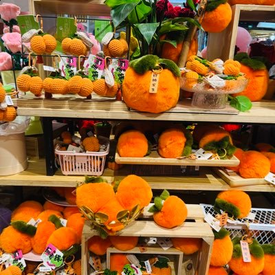 Yaoyo6032341435's profile picture. 👩‍👧🏡🆘💸💸💸🛳🚁🚅✈️🚀🛸