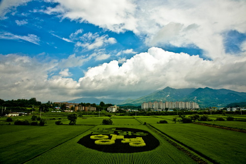 rarastudio's profile picture. 사진작가