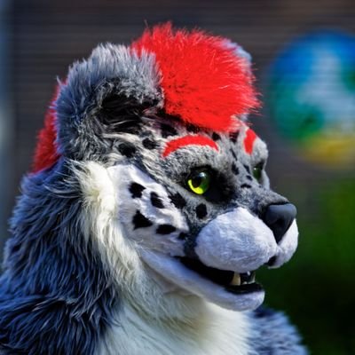 Coaster Enthusiast, Firefighter and Furry
Snowleopard: Marty  Suit by @komickrazi