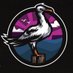 SDC Seagulls (@sdcseagulls) Twitter profile photo